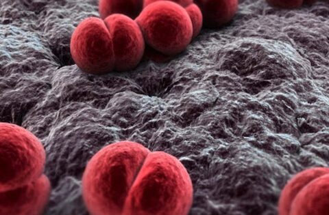 Ghi nhận 18 ca mắc não mô cầu tại phía Nam: Cách phòng bệnh hiệu quả