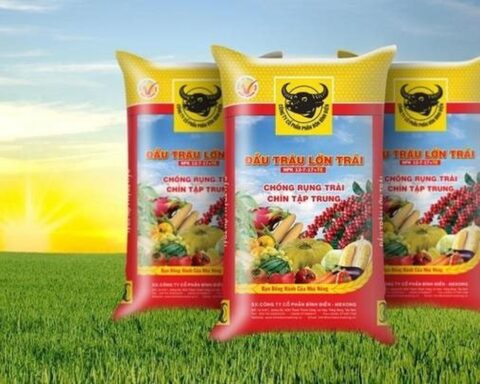 Cổ phiếu phân bón “ngược sóng”, hút mạnh dòng tiền trong phiên thị trường chứng khoán “rực lửa”