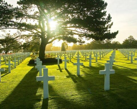 Công ty mai táng trả cổ tức tiền mặt “khủng”