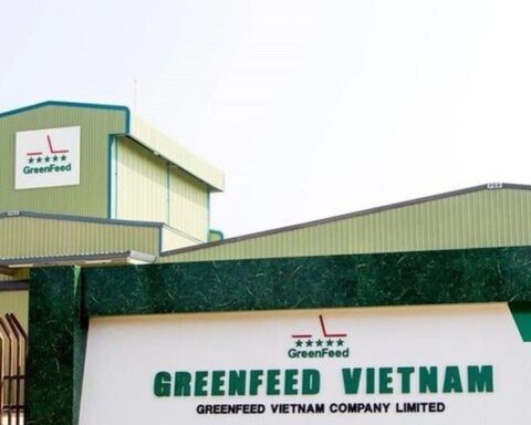 Một công ty sản xuất thức ăn chăn nuôi báo lãi kỷ lục hơn 10 tỷ đồng mỗi ngày