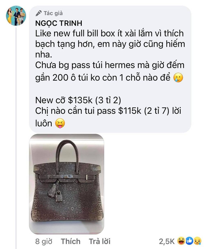 Showbiz từng chứng kiến "đại tiệc pass đồ" xa xỉ của Ngọc Trinh: Từ kim cương đến túi hiệu, tổng giá trị gần 30 tỷ!- Ảnh 3.