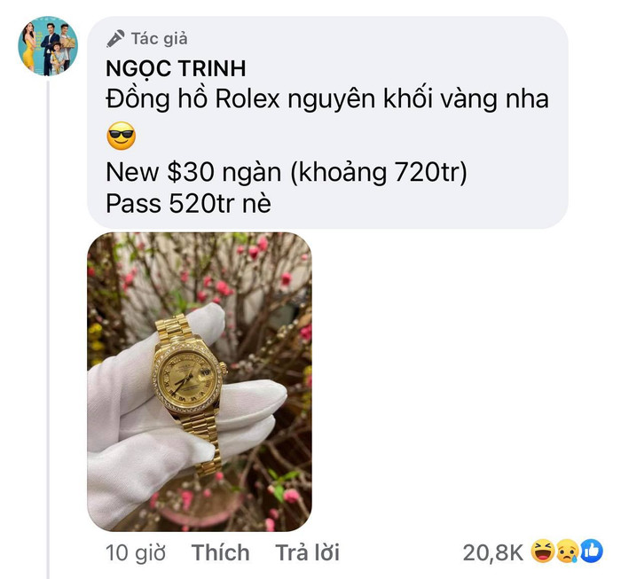 Showbiz từng chứng kiến "đại tiệc pass đồ" xa xỉ của Ngọc Trinh: Từ kim cương đến túi hiệu, tổng giá trị gần 30 tỷ!- Ảnh 2.