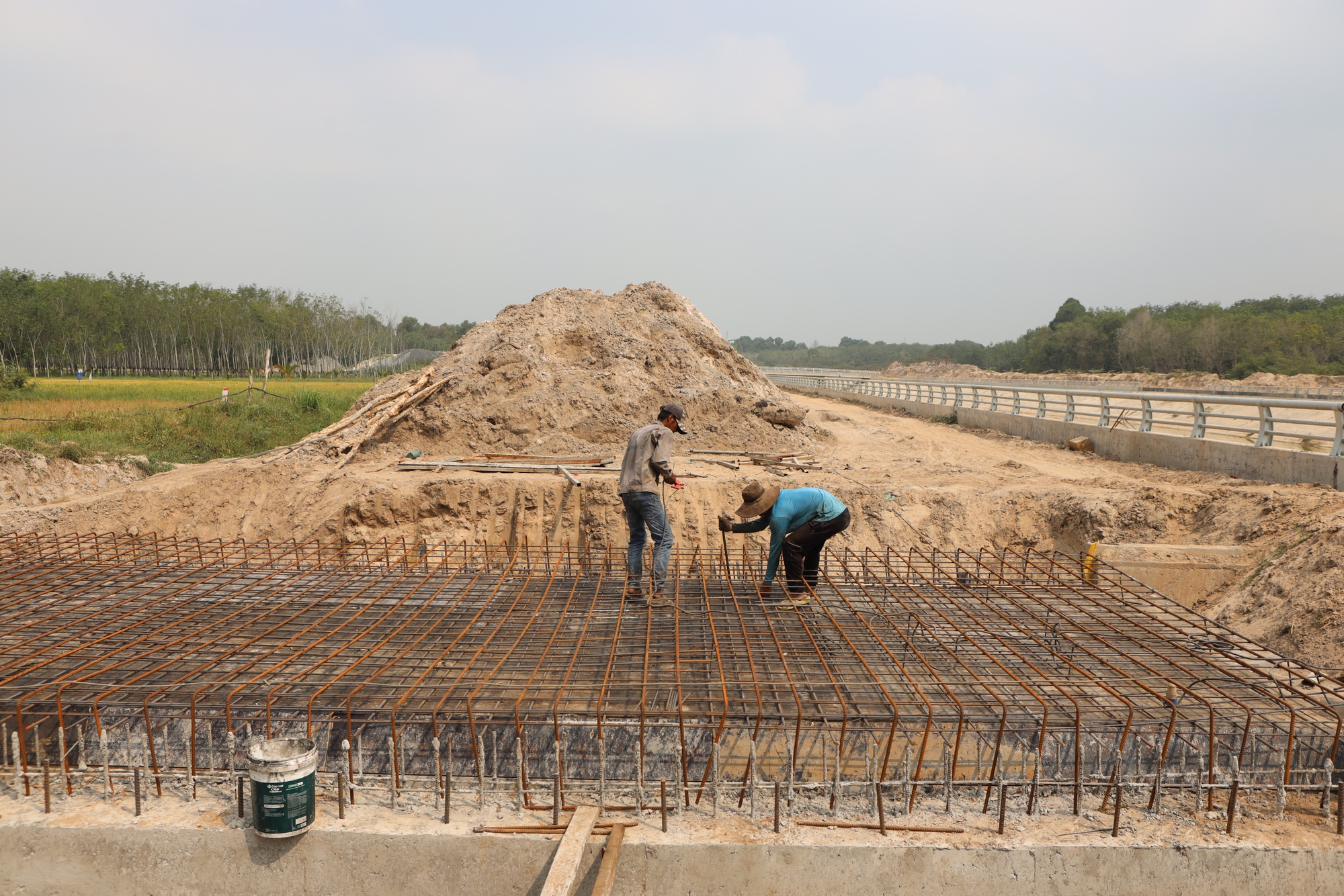 Hình hài dự án Suối Cái gần 6 . 000 Tỉ đồng ở TP . HCM dần lộ diện - Ảnh 13.