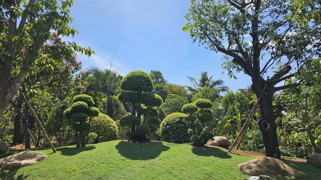 Đệ nhất mỹ nhân Việt Trinh ở tuổi 54: "Nhiều người bảo Trinh sao giờ mập thù lù, kêu Trinh nói xạo"- Ảnh 5.