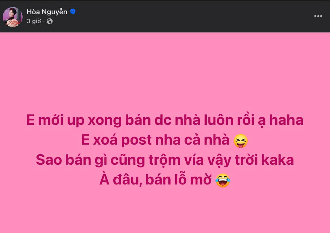 Chuyện gì khiến Hòa Minzy phải xoá gấp bài đăng bán nhà lỗ gần 1 tỷ đồng?- Ảnh 2.