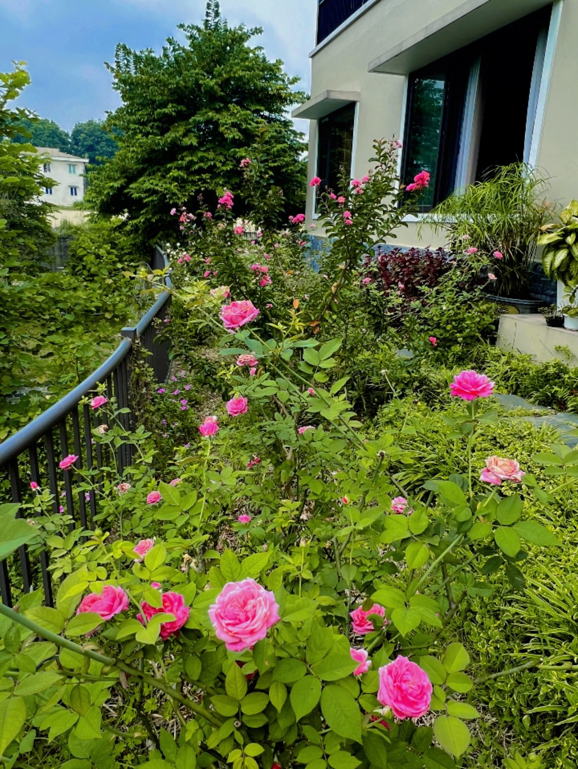 Cơ ngơi như nghỉ dưỡng tại gia của con gái nhà ngoại giao Đặng Nghiêm Hoành, đang làm sếp ở VTV - Ảnh 6.