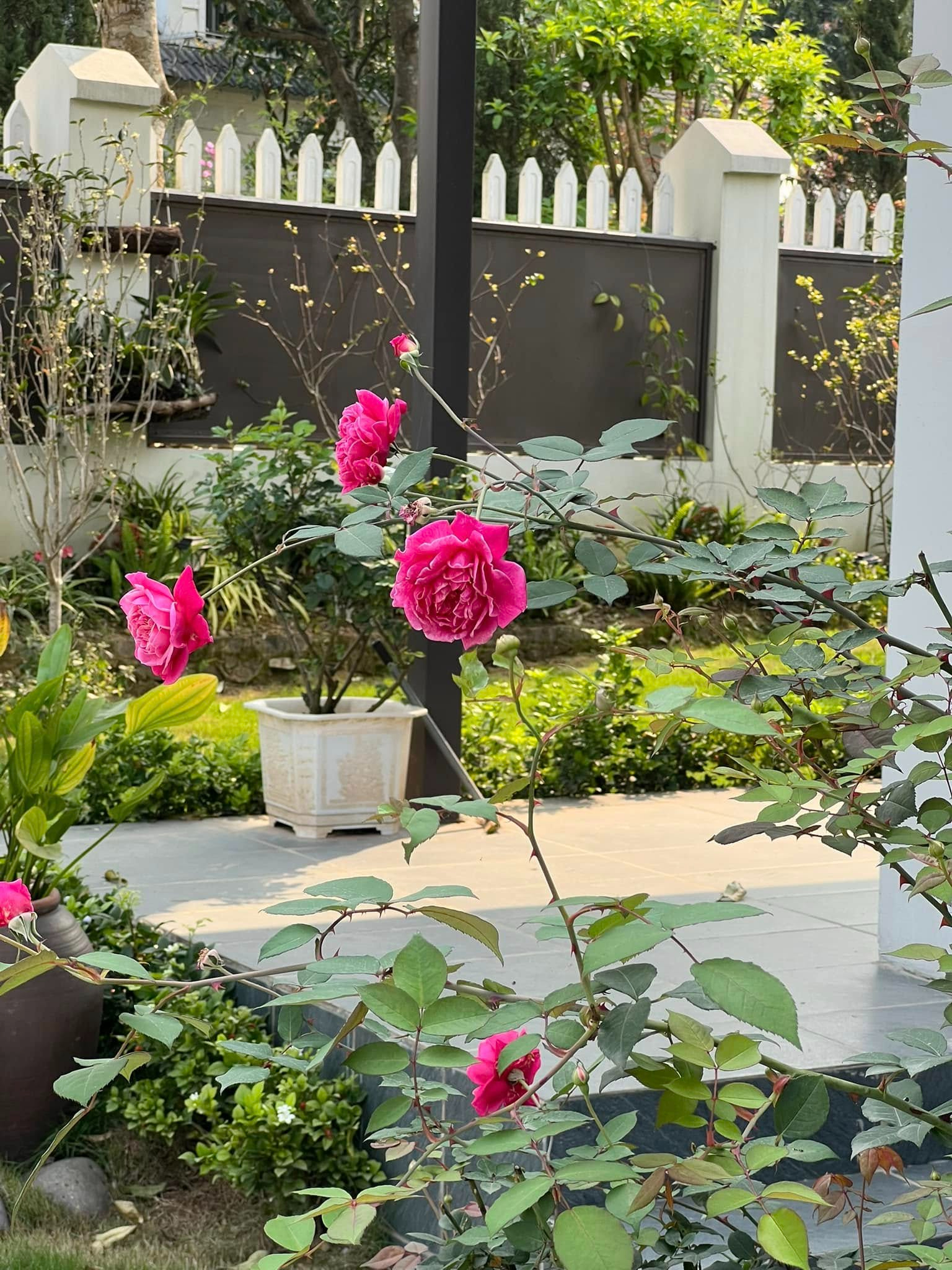 Cơ ngơi như nghỉ dưỡng tại gia của con gái nhà ngoại giao Đặng Nghiêm Hoành, đang làm sếp ở VTV - Ảnh 13.