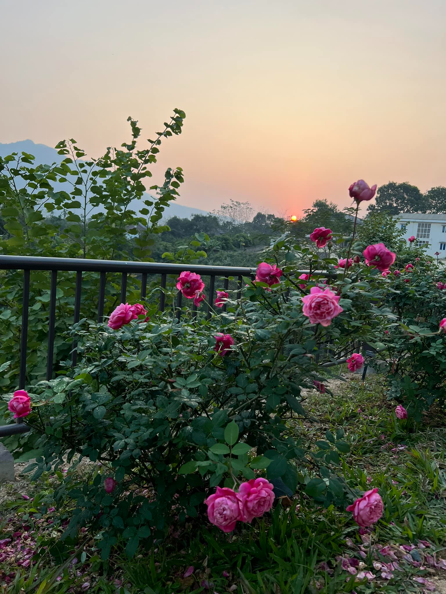 Cơ ngơi như nghỉ dưỡng tại gia của con gái nhà ngoại giao Đặng Nghiêm Hoành, đang làm sếp ở VTV - Ảnh 17.