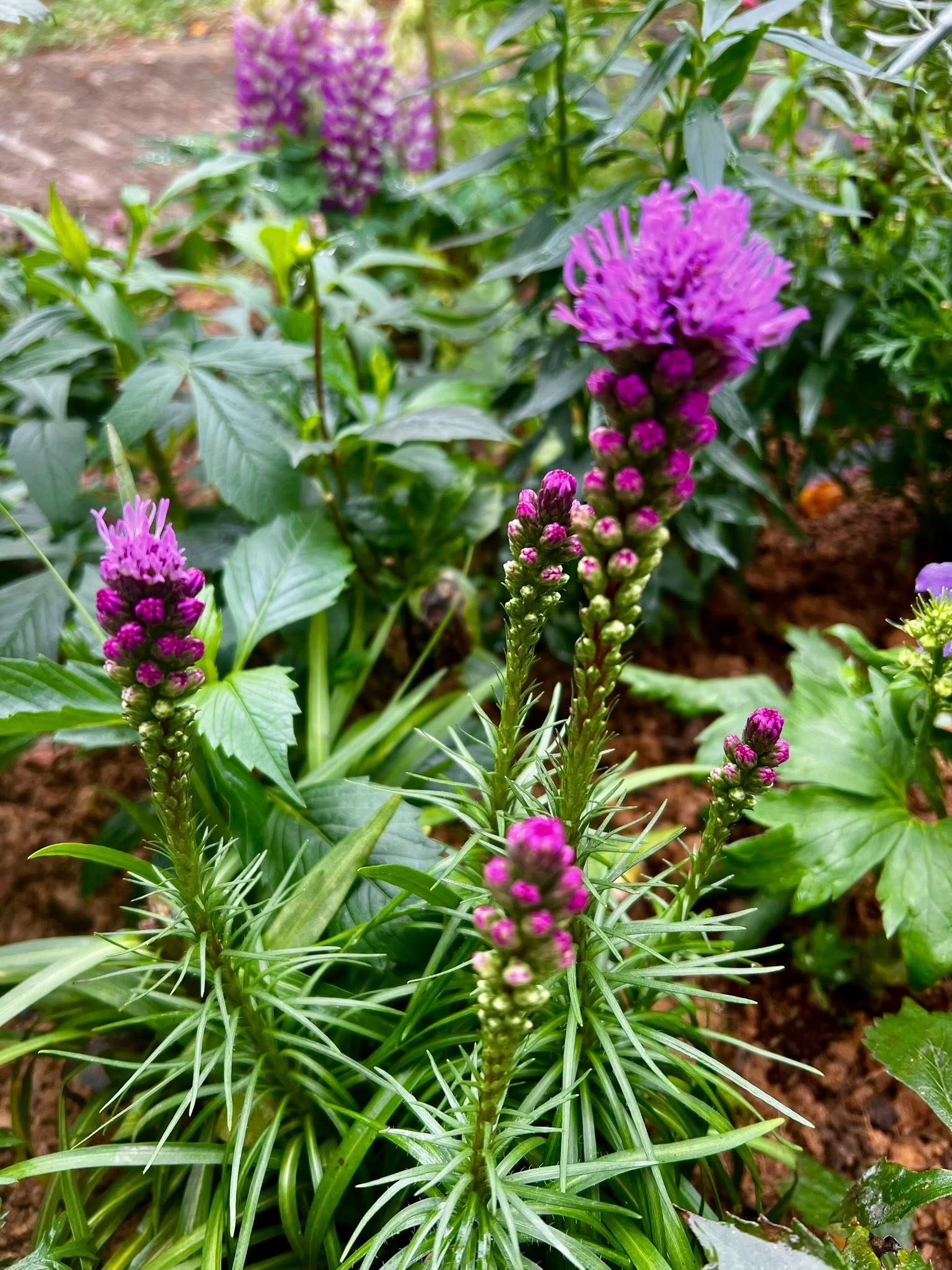 Cơ ngơi như nghỉ dưỡng tại gia của con gái nhà ngoại giao Đặng Nghiêm Hoành, đang làm sếp ở VTV - Ảnh 11.