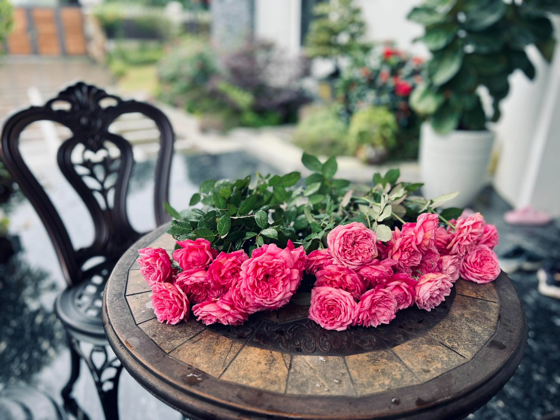 Cơ ngơi như nghỉ dưỡng tại gia của con gái nhà ngoại giao Đặng Nghiêm Hoành, đang làm sếp ở VTV - Ảnh 15.