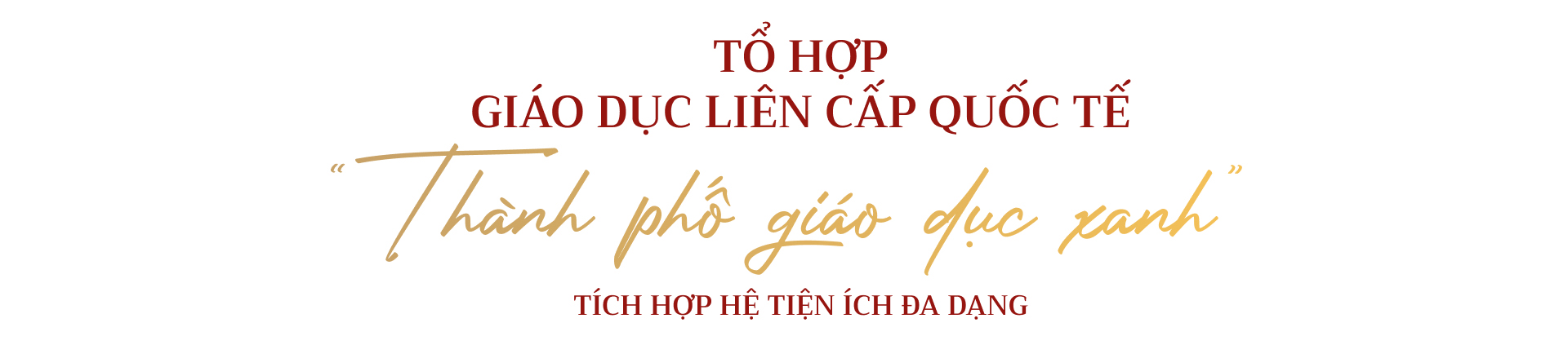 Khi tiện ích 5 sao giao thoa cùng năng lượng trẻ Đánh thức một Phố Hiến phồn vinh trên miền di sản phía Đông Thủ đô - Ảnh 12.