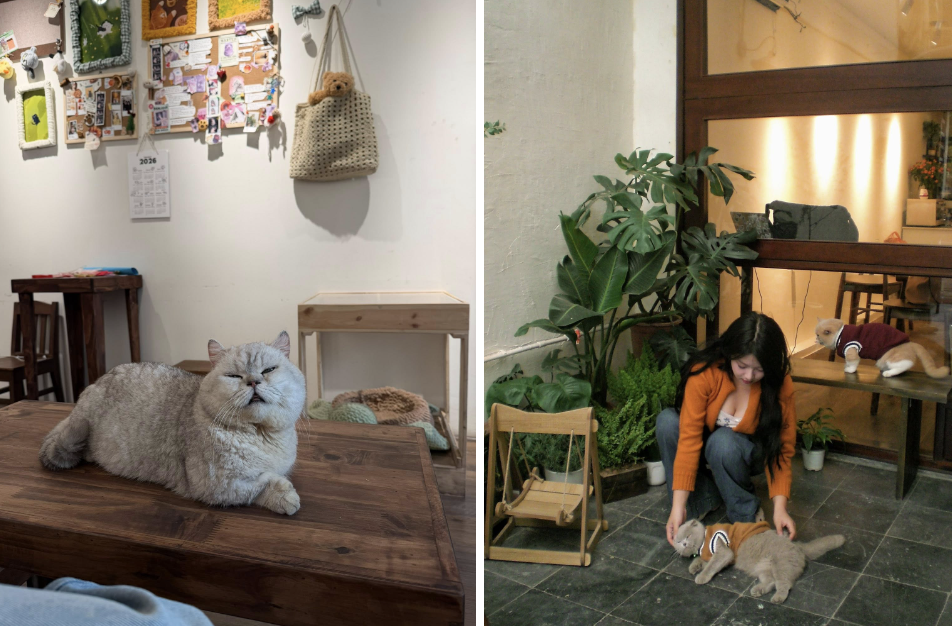 Quyết định ở lại Hà Nội dịp lễ thì cứ lưu ngay 5 quán cà phê cực nghệ này để “nhâm nhi” trọn ngày nghỉ - Ảnh 19.