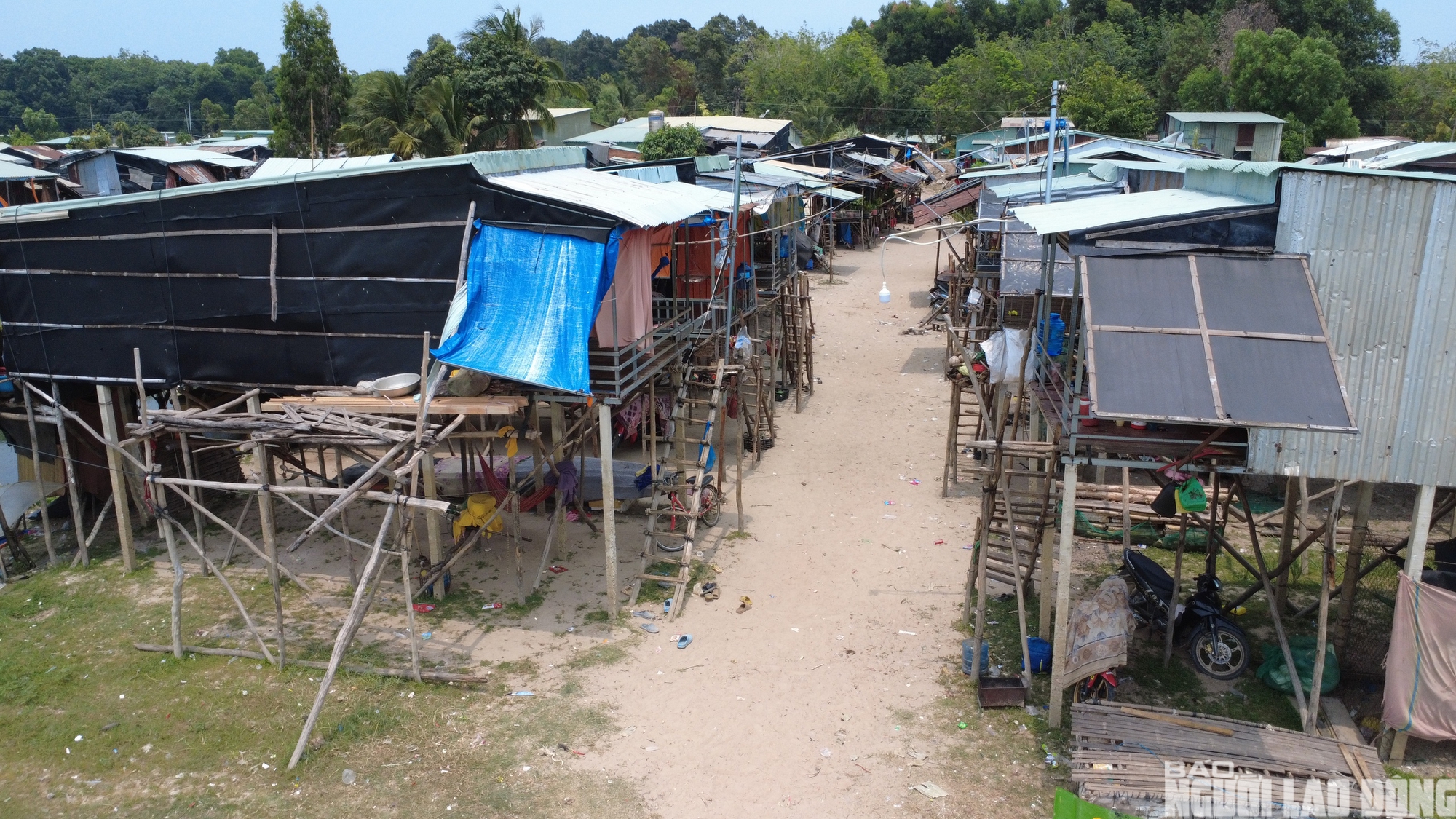 Chật vật mưu sinh ở xóm Việt kiều ven hồ Dầu Tiếng 2026 - Ảnh 12.