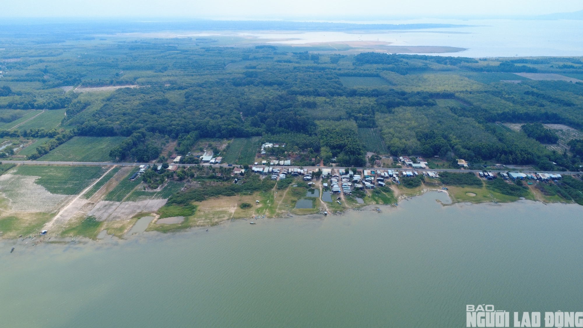 Chật vật mưu sinh ở xóm Việt kiều ven hồ Dầu Tiếng 2026 - Ảnh 17.