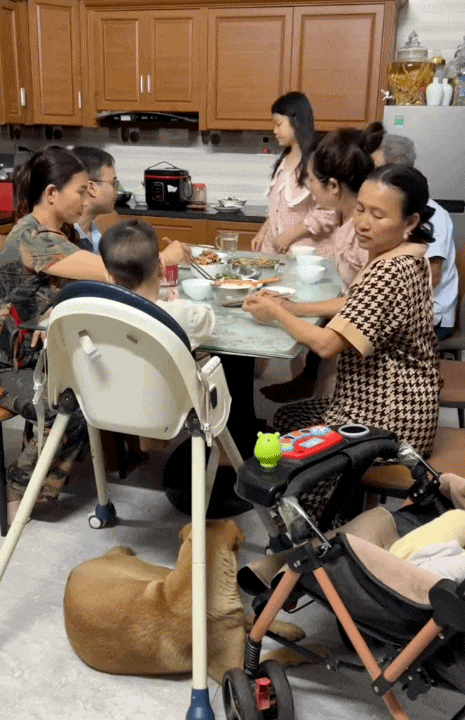 Mẹ đẻ sống chung một nhà với bố mẹ chồng: Bà ngoại Nghệ An lấy nước mắt của bao người bằng cách này!- Ảnh 6.