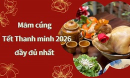 Mâm cúng Tết Thanh minh 2026 cần những gì? Sắp lễ sao cho đúng?