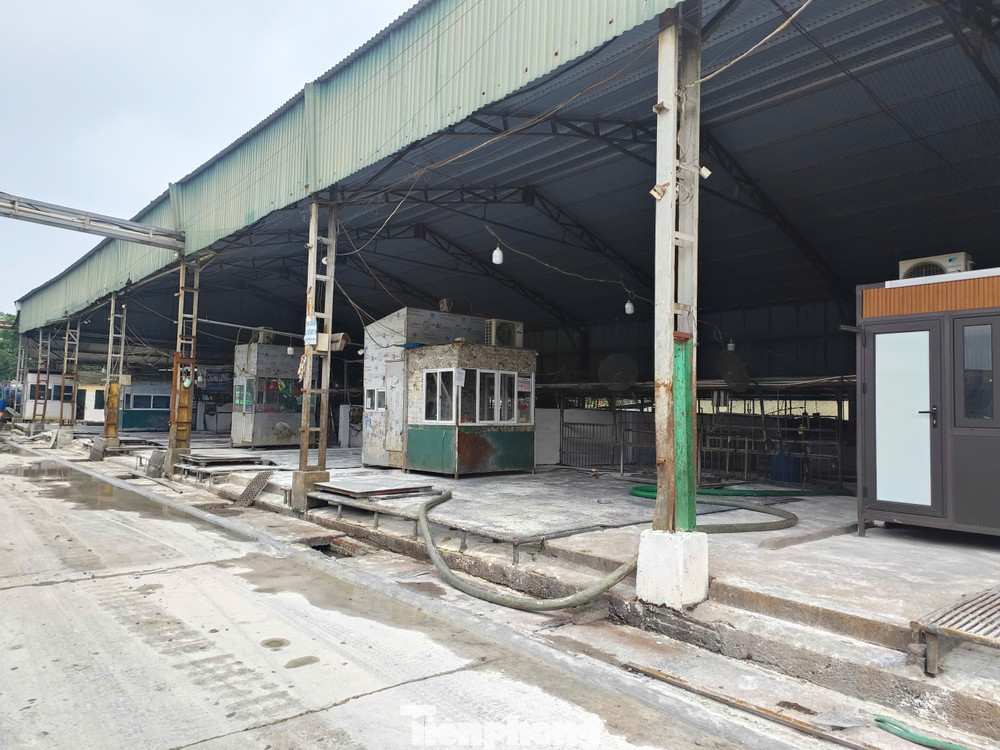 Thông tin hàng triệu phụ huynh quan tâm: Trường nào sử dụng thịt trong đường dây 300 tấn lợn bệnh?- Ảnh 2.
