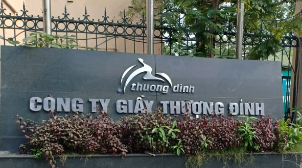 Vinaconex tính mua cổ phần của Giầy Thượng Đình - Ảnh 1.