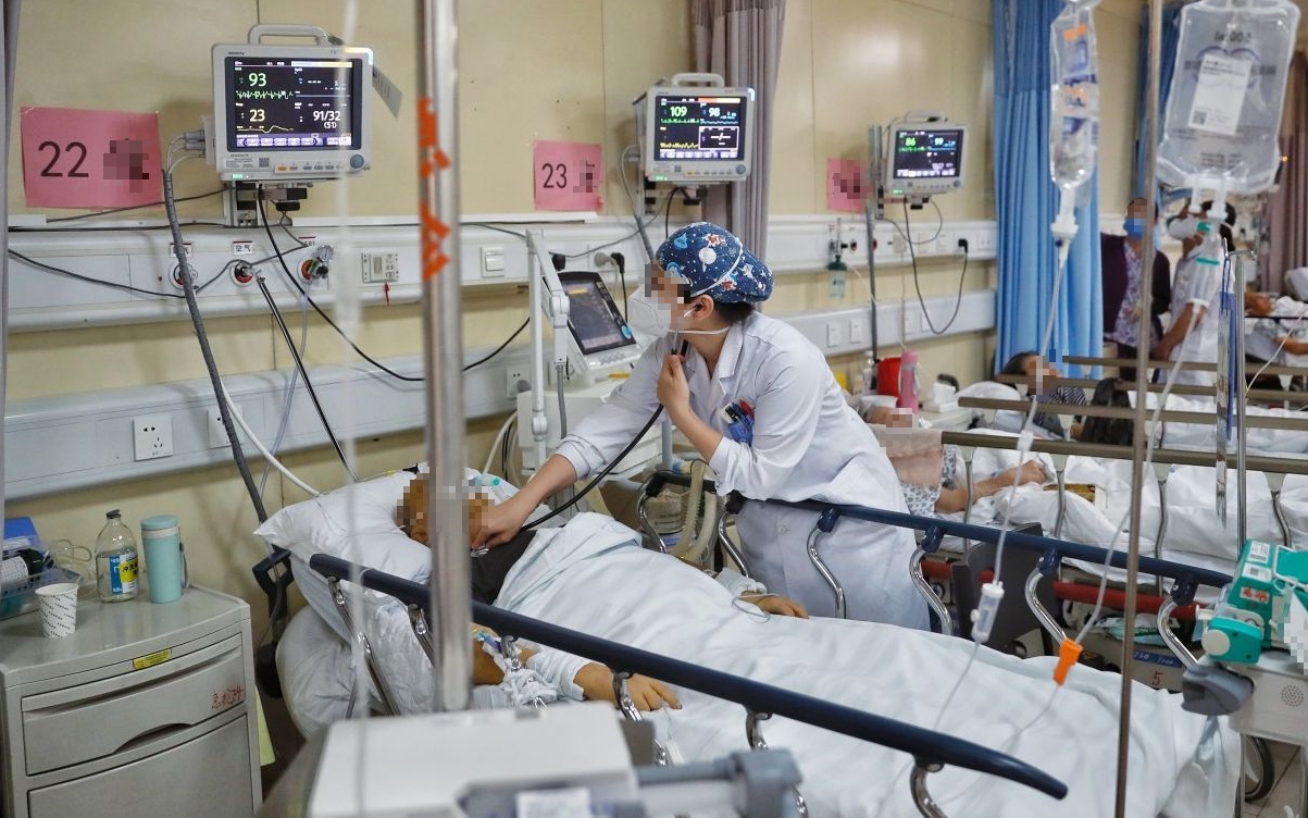 3 loại rau "bổ như sâm", nên trồng trong nhà ngay - Ảnh 2.