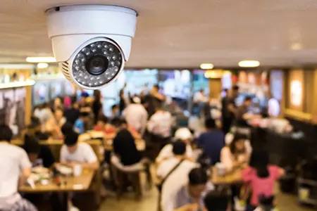 Khách phản ánh sự cố hy hữu “bị nhân viên cho chuột hamster vào nồi lẩu”, nhà hàng ở Aeon Mall Hải Phòng nói gì?- Ảnh 3.