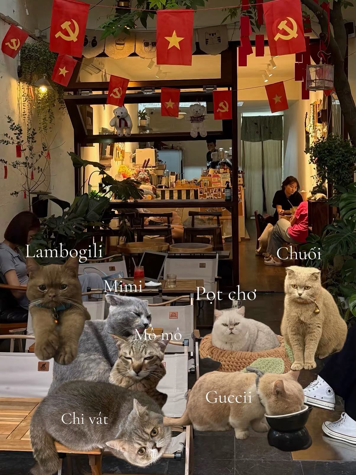 Quyết định ở lại Hà Nội dịp lễ thì cứ lưu ngay 5 quán cà phê cực nghệ này để “nhâm nhi” trọn ngày nghỉ - Ảnh 21.