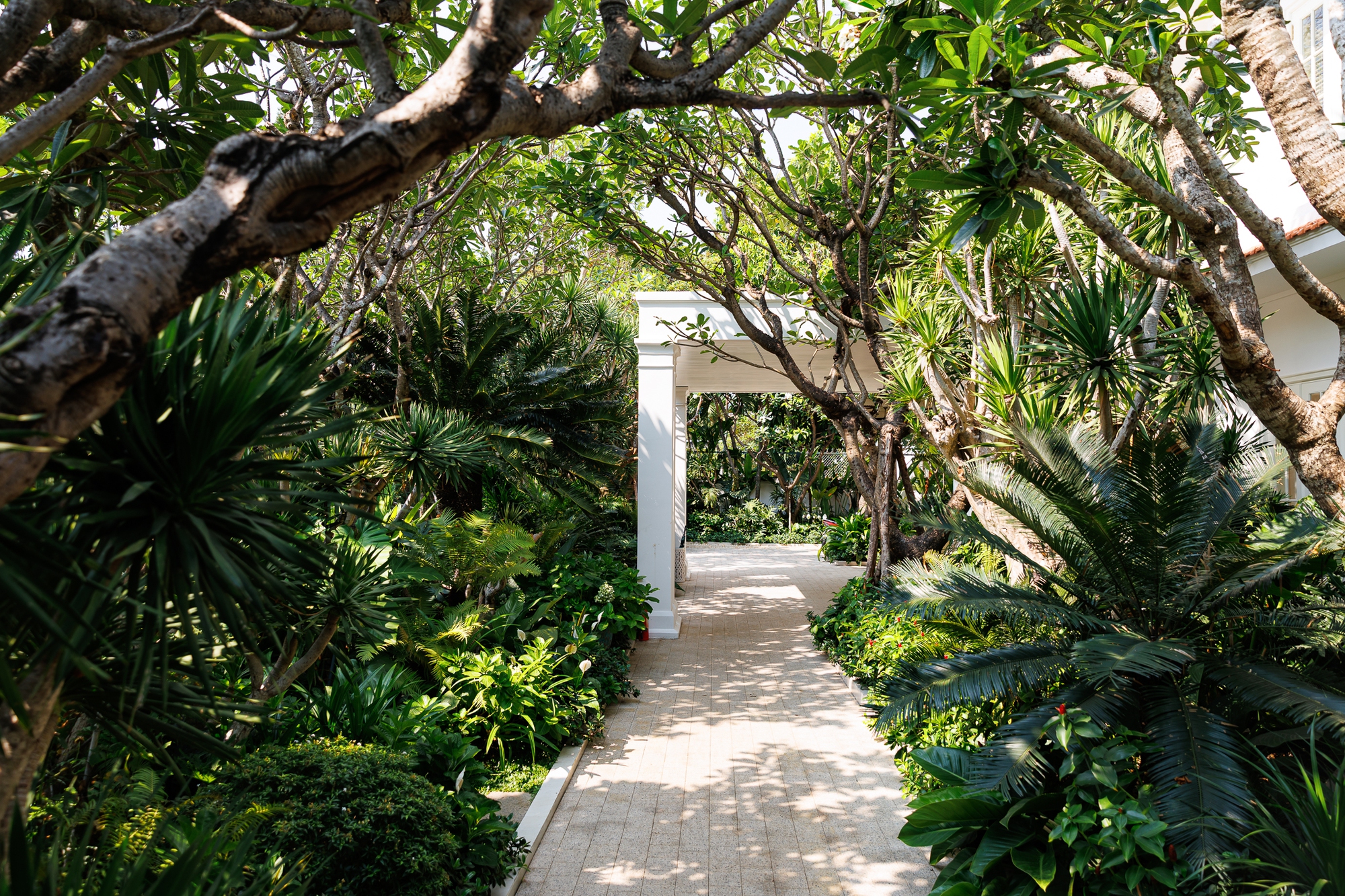 Nhà thiết kế Đỗ Mạnh Cường: "Nếu không giàu, tôi không dám nhận 10 con nuôi"- Ảnh 2.