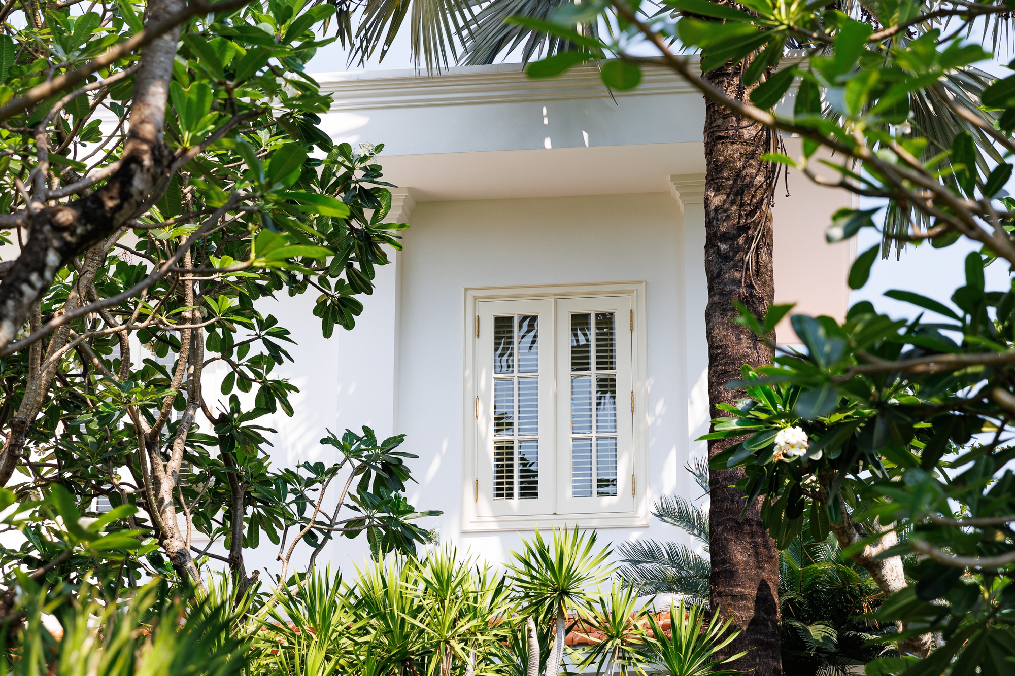 Nhà thiết kế Đỗ Mạnh Cường: "Nếu không giàu, tôi không dám nhận 10 con nuôi"- Ảnh 4.