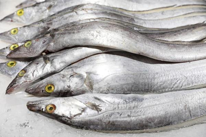 Loại cá giá rẻ, ít cholesterol, giàu đạm, dễ ăn cho cả người già lẫn trẻ nhỏ, đi chợ dễ tìm mà người Việt lại ít ăn- Ảnh 3.