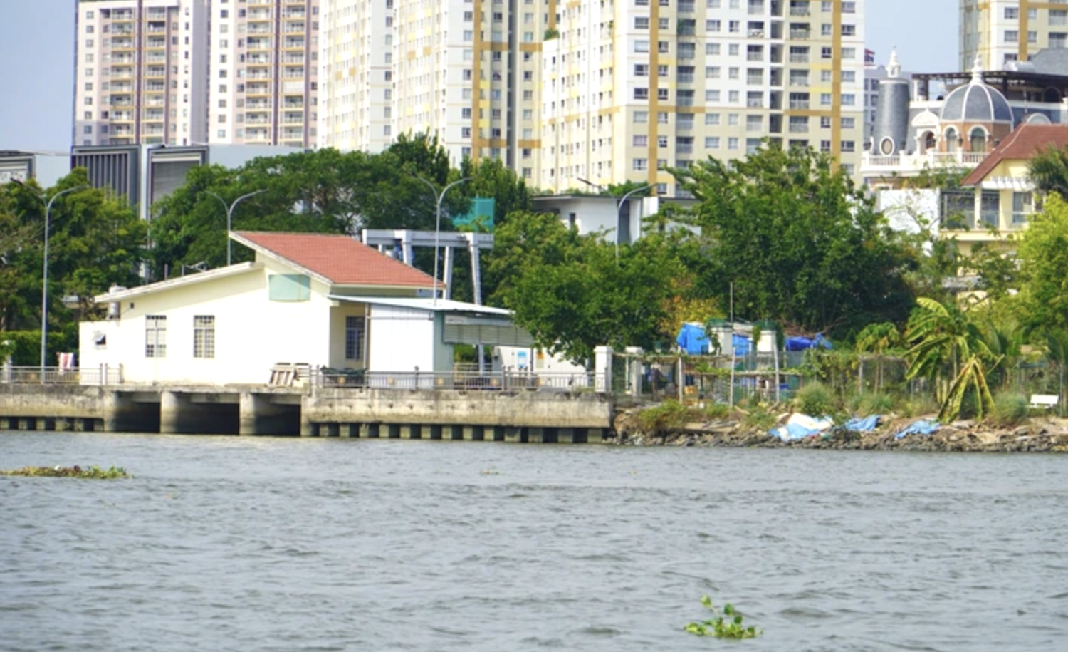 - Ảnh 1. - Ảnh 1.