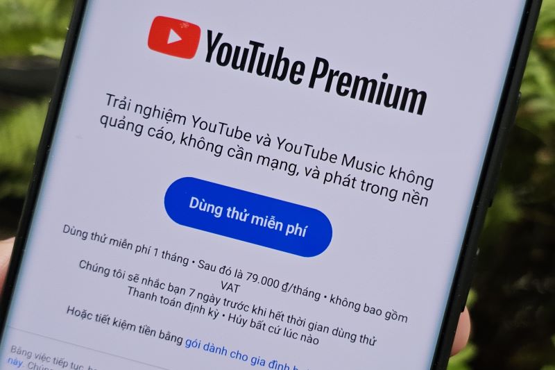Những ai đủ các điều kiện sau được mua YouTube Premium giảm 50%- Ảnh 1.