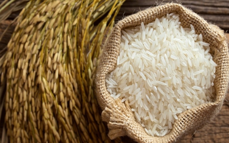 Ngày 13/4: Giá lúa gạo tại Đồng bằng sông Cửu Long tiếp tục trầm lắng sáng đầu tuần