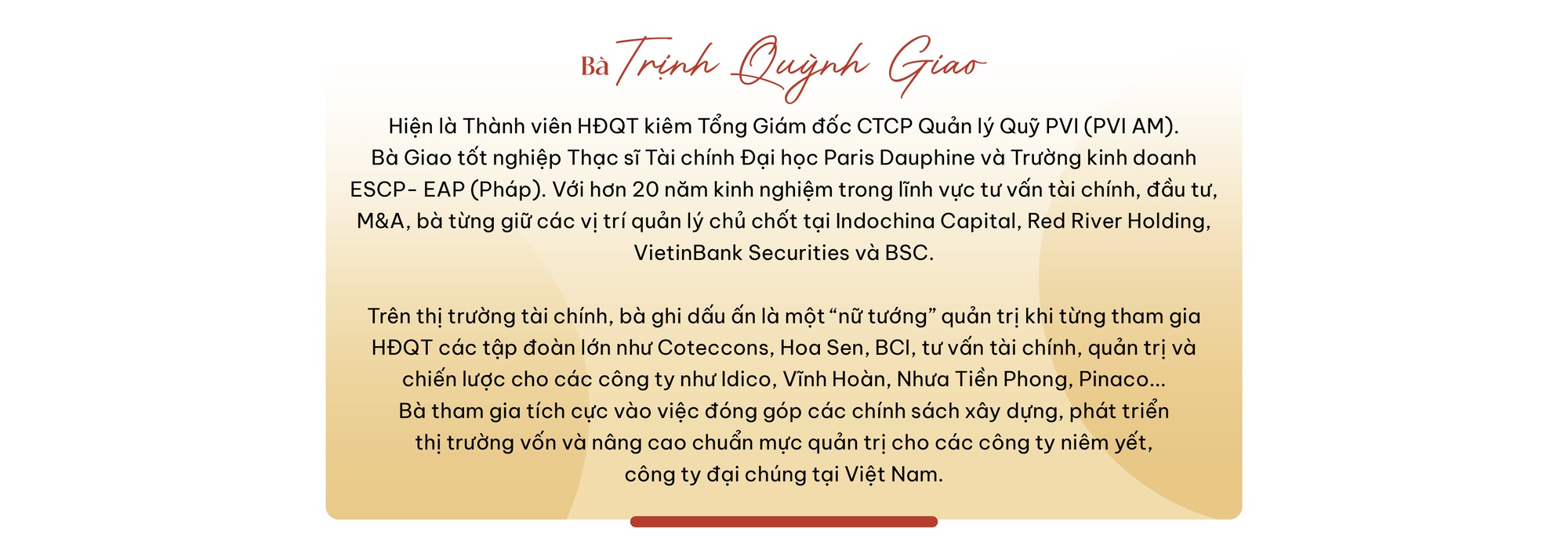 Tổng Giám đốc PVIAM giải mã cách biến ĐHCĐ thành vũ khí cạnh tranh và hình mẫu trình bày chiến lược của tỷ phú Masan - Ảnh 1.