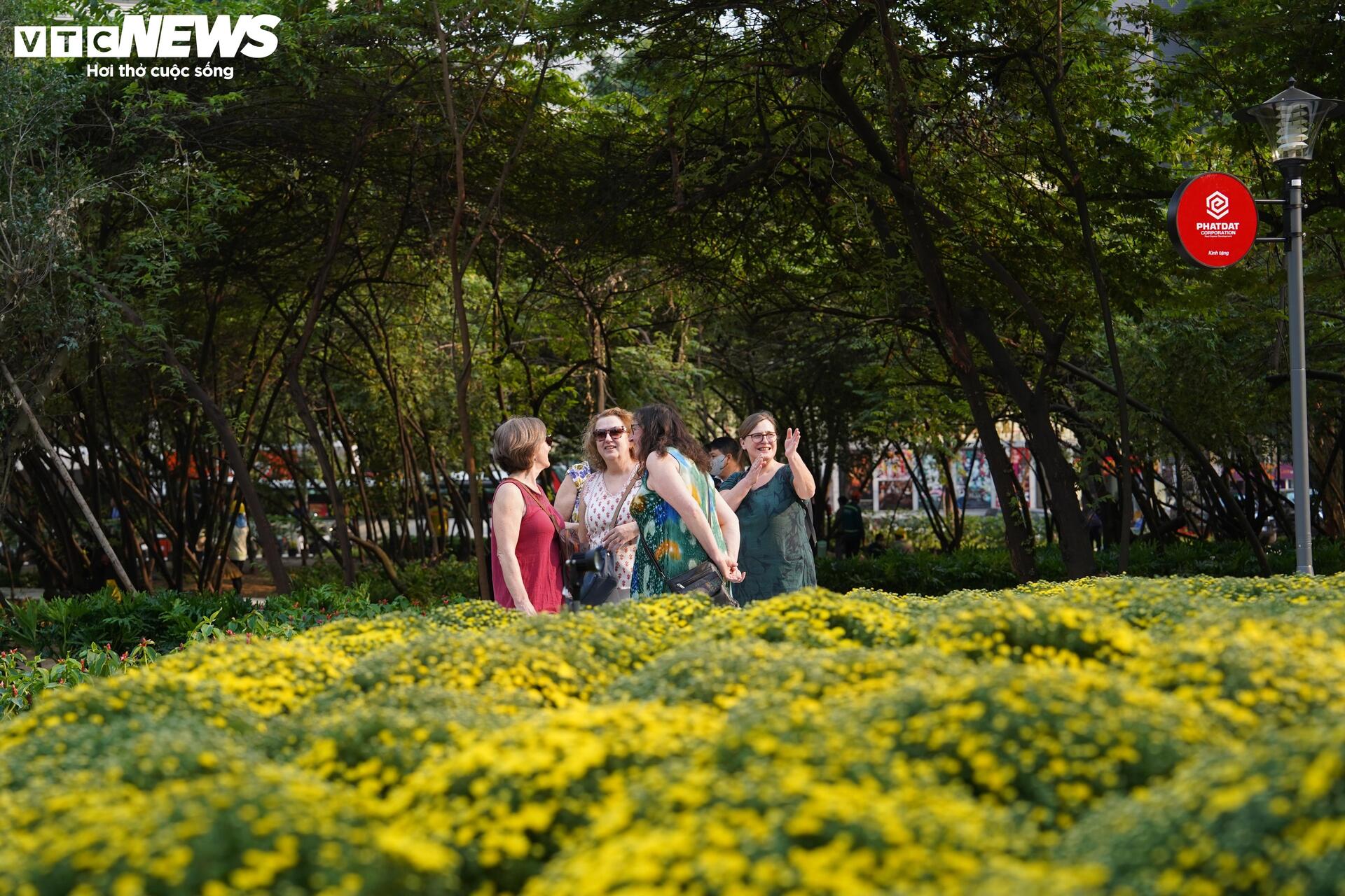 Cận cảnh khu 'đất vàng' vừa được TP.HCM xem xét thu hồi- Ảnh 13.