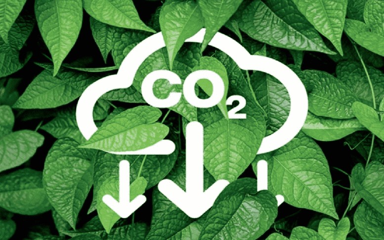 Hoàn thiện khung pháp lý cho vận hành sàn giao dịch các-bon trong nước