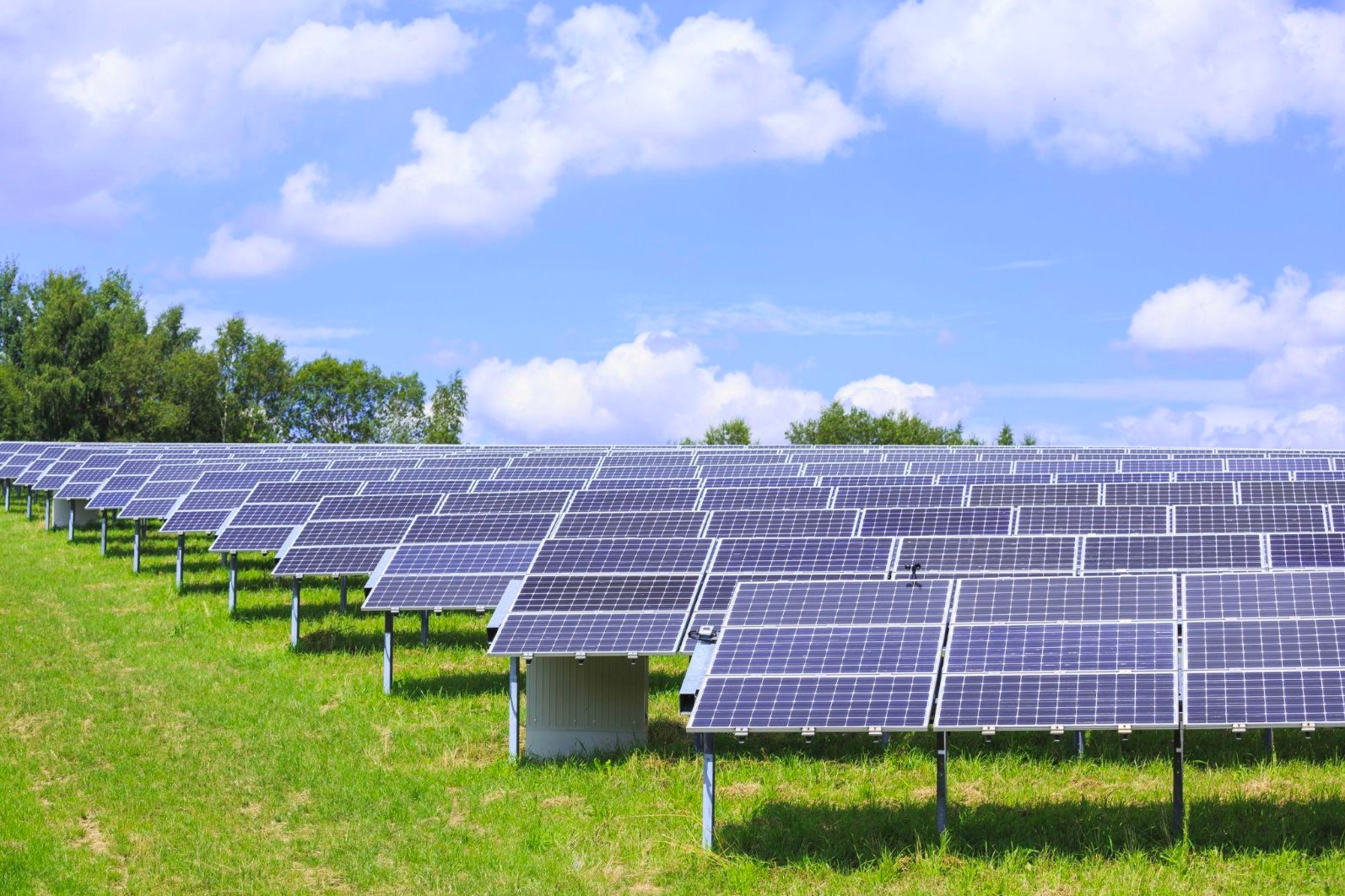 CRC điều chỉnh tăng mạnh kế hoạch kinh doanh 2026, kỳ vọng bứt tốc khi nhà máy gạch men đi vào vận hành- Ảnh 2.