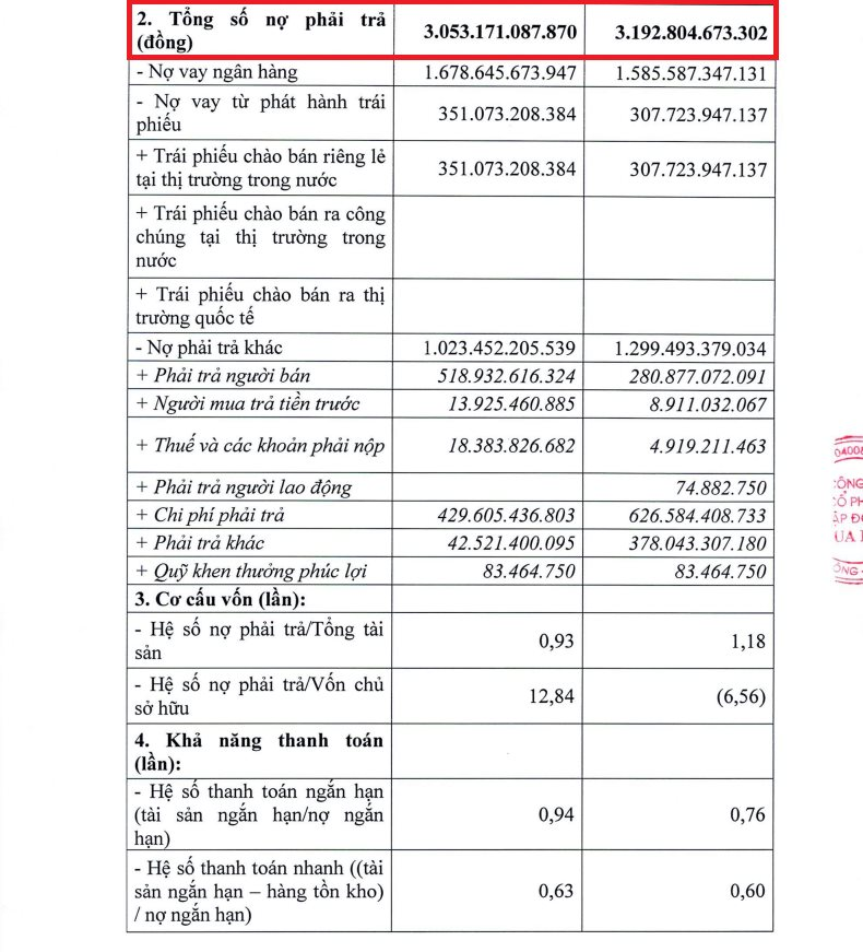 Lỗ kỷ lục gần 725 tỷ đồng, Tập đoàn Đua Fat (DFF) âm vốn sâu, đối mặt rủi ro hoạt động liên tục- Ảnh 2.