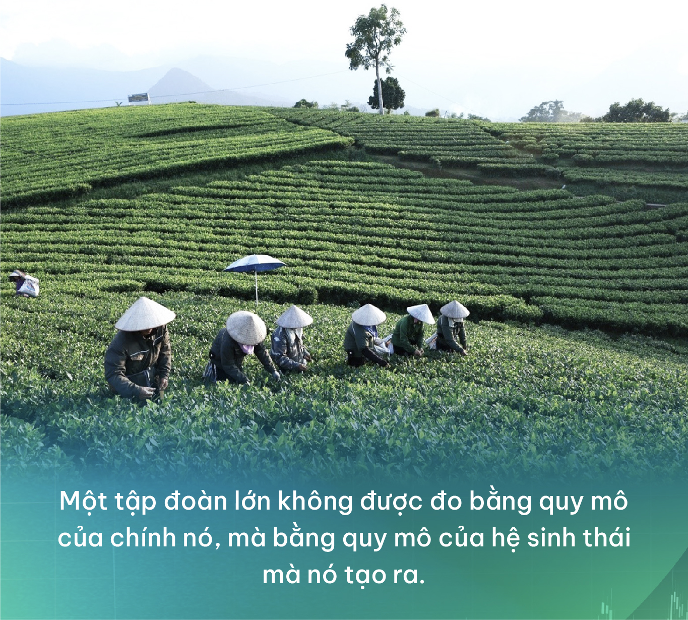 Trong kỷ nguyên mới - doanh nghiệp chỉ “lớn” thôi là chưa đủ: Vai trò dẫn dắt chuỗi giá trị của các tập đoàn tư nhân - Ảnh 6.