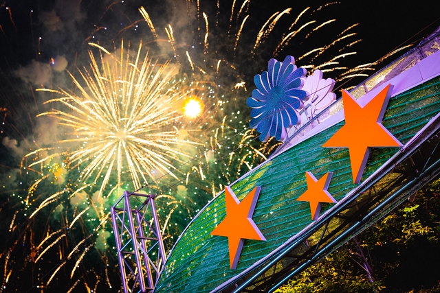 Rực rỡ pháo hoa trên bầu trời TP.HCM đêm 30/4 - Ảnh 10.