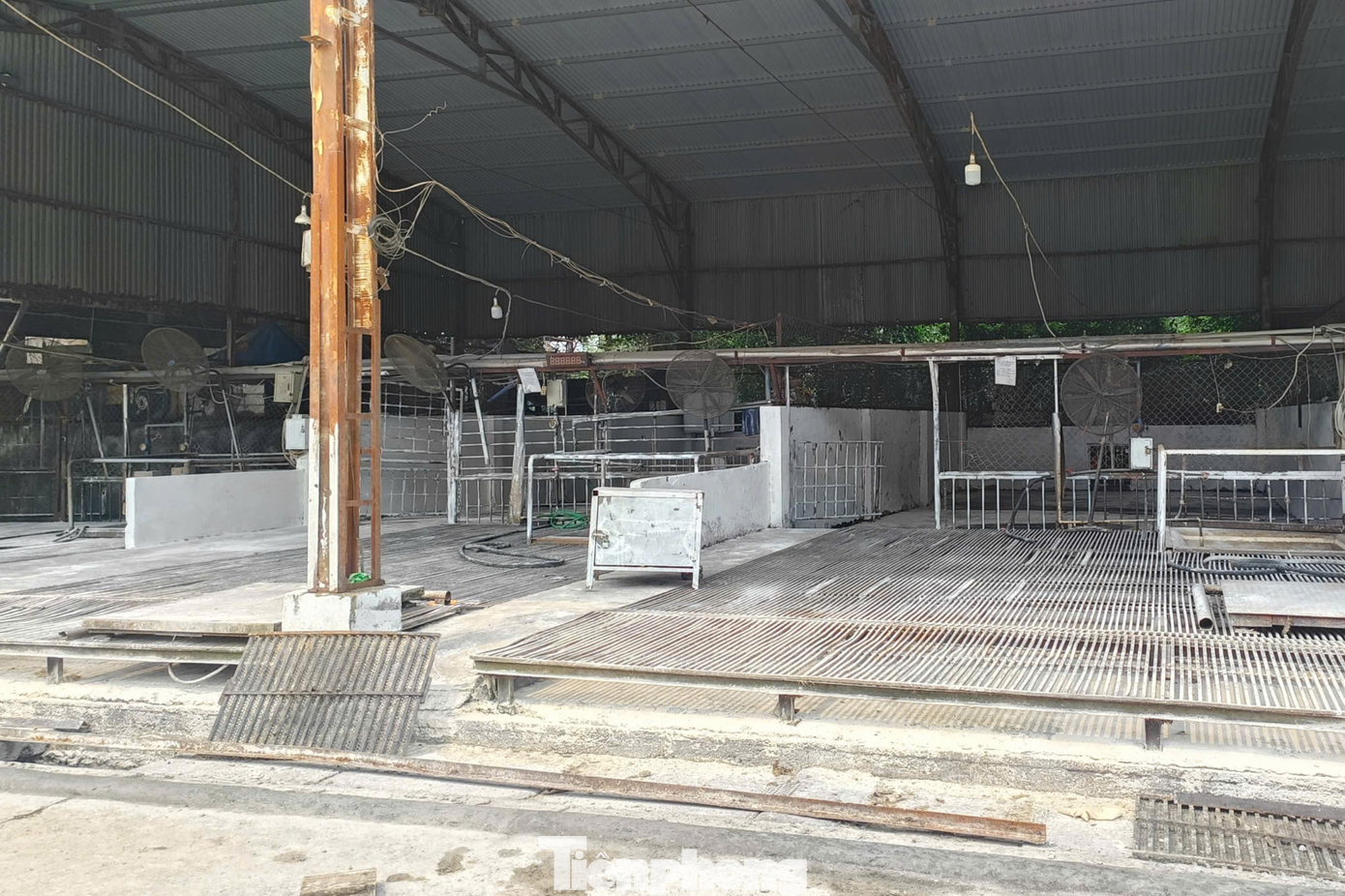 Vụ tiêu thụ gần 300 tấn lợn bệnh ở Hà Nội: Thu giữ cuốn sổ ghi chép việc ăn chia tiền 