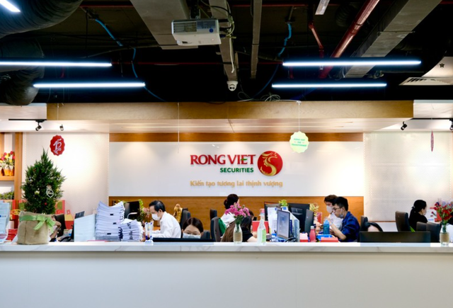 Loạt công ty chứng khoán đón cổ đông lớn mới: Từ cá nhân bí ẩn tới sự đồng hành chiến lược- Ảnh 2.