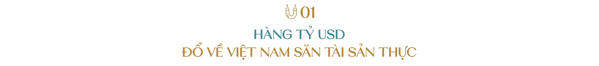 Bất động sản Việt Nam trở thành “thỏi nam châm” hút vốn ngoại tỷ USD: Chậm chân trước luật chơi mới, nhà đầu tư nội có thể đánh mất lợi thế sân nhà- Ảnh 1.