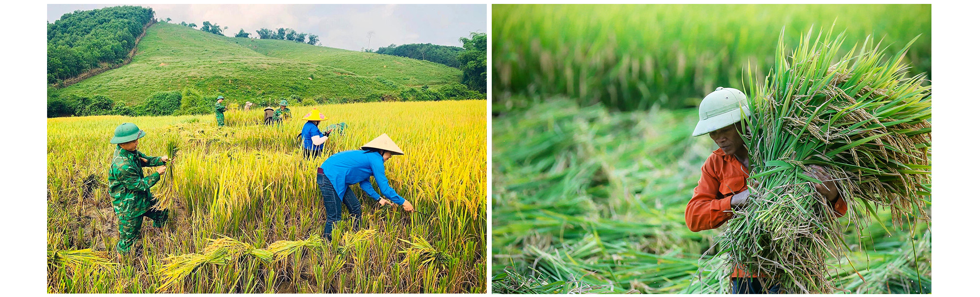 TS. Trần Đình Cung: Việt Nam mở cơ hội lịch sử chưa từng có, không còn rào cản nhưng còn một vấn đề- Ảnh 3. TS. Trần Đình Cung: Việt Nam mở cơ hội lịch sử chưa từng có, không còn rào cản nhưng còn một vấn đề- Ảnh 3.