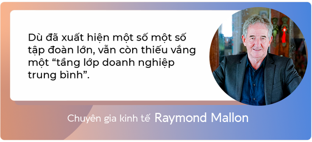Từ gia công cho Ford, Honda cho đến sự xuất hiện của thế hệ doanh nghiệp tỷ đô Vingroup, FPT, Hòa Phát…: Thấy gì về sự “lột xác” của kinh tế tư nhân Việt Nam?  - Ảnh 14.