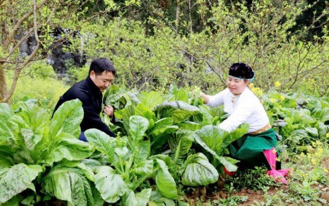 Giải ngân chương trình mục tiêu quốc gia: Nỗ lực cho mục tiêu 