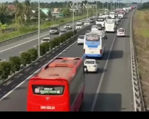 Dừng xe trên cao tốc đi vệ sinh, bị ô tô khách đâm chết tại chỗ