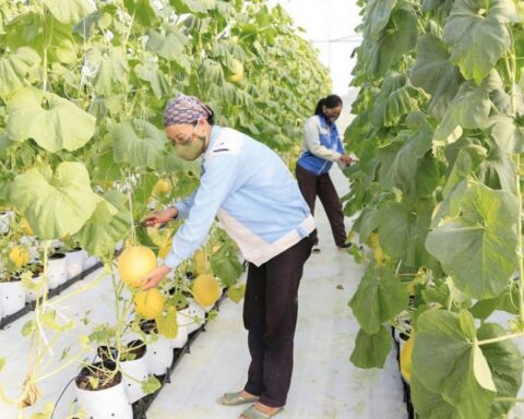 Giải ngân Chương trình mục tiêu quốc gia: Không để dòng vốn “đứng ngoài” mục tiêu tăng trưởng