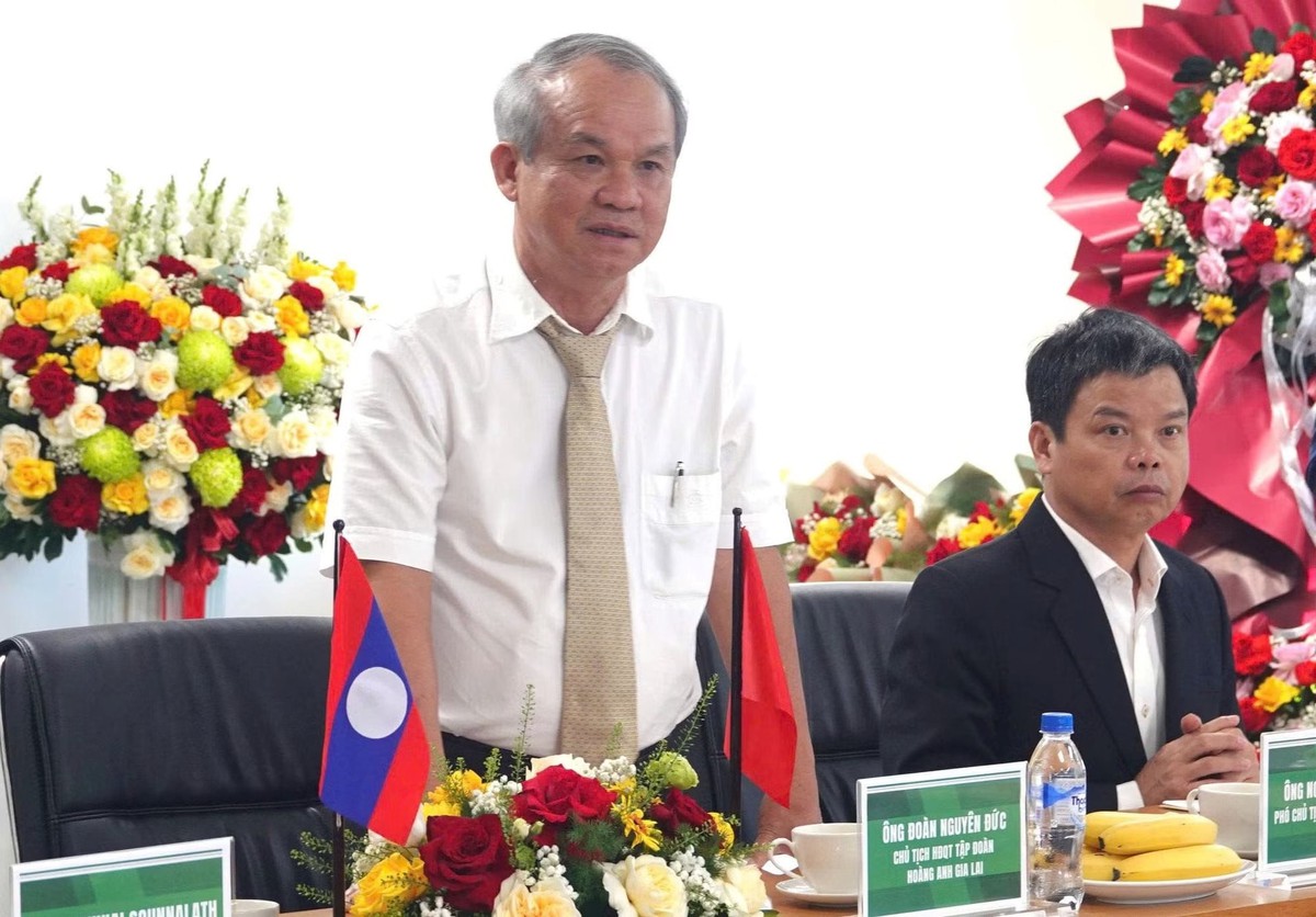“Bắt tay” với một địa phương Lào, Bầu Đức muốn trồng 5.000 ha sản vật tỷ USD của Việt Nam