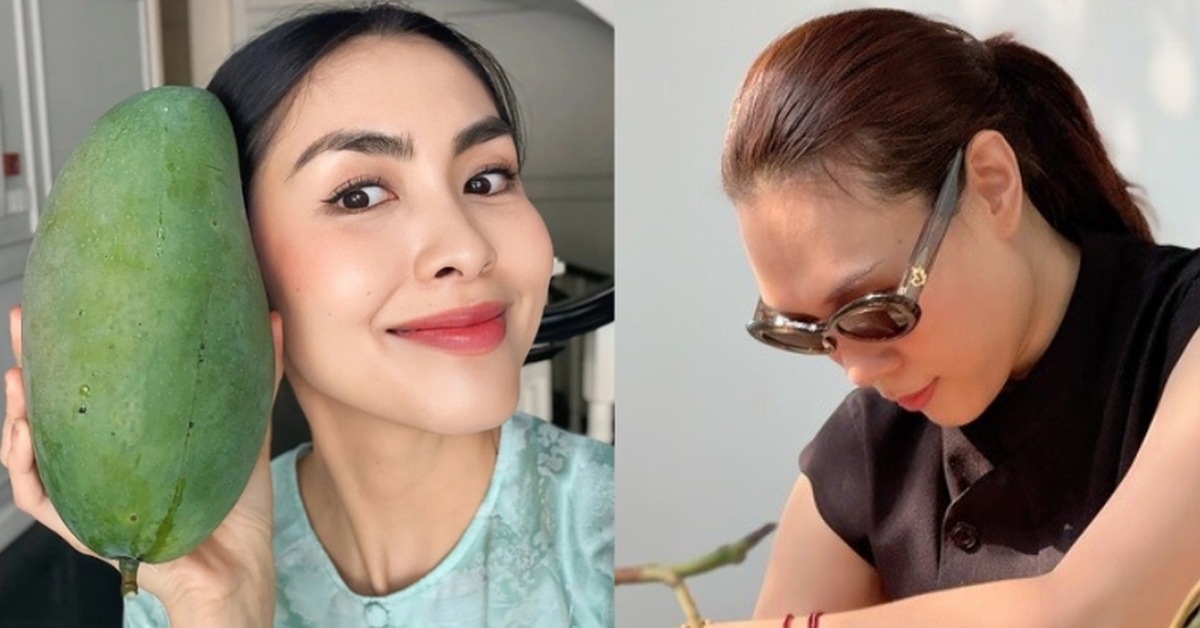 Tăng Thanh Hà, Mỹ Tâm đua nhau trồng 1 loại cây cho quả lúc lỉu: Ngon, sạch chẳng lo thuốc trừ sâu còn xóa nhăn da