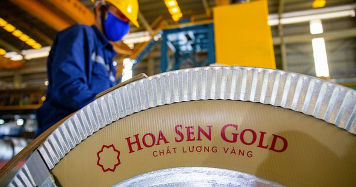 Hoa Sen Group tăng vốn vượt 8.000 tỷ đồng sau đợt trả cổ tức