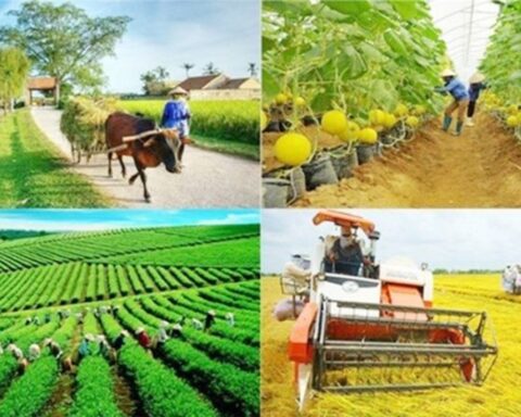 Sắp có hướng dẫn về tiêu chí tài chính trong xây dựng nông thôn mới giai đoạn 2026 – 2030